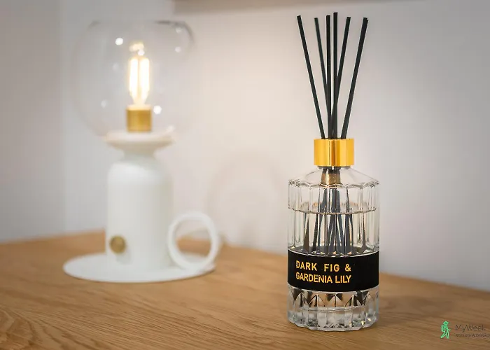 Apartmán Serce Sudetow